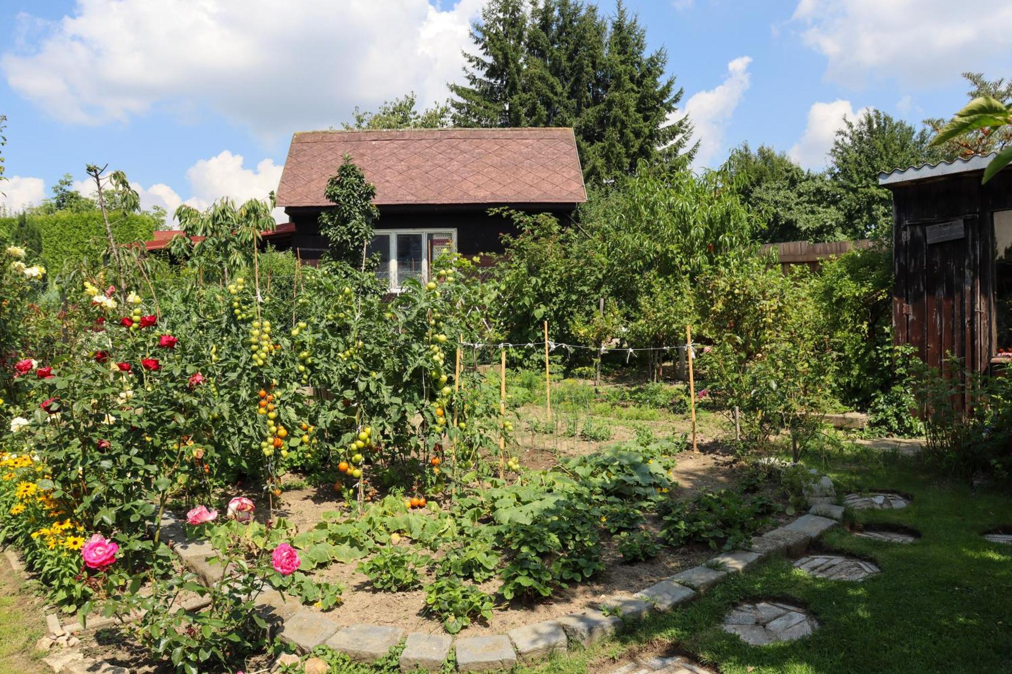Ubytovani Eva Stara Rise Exterior photo